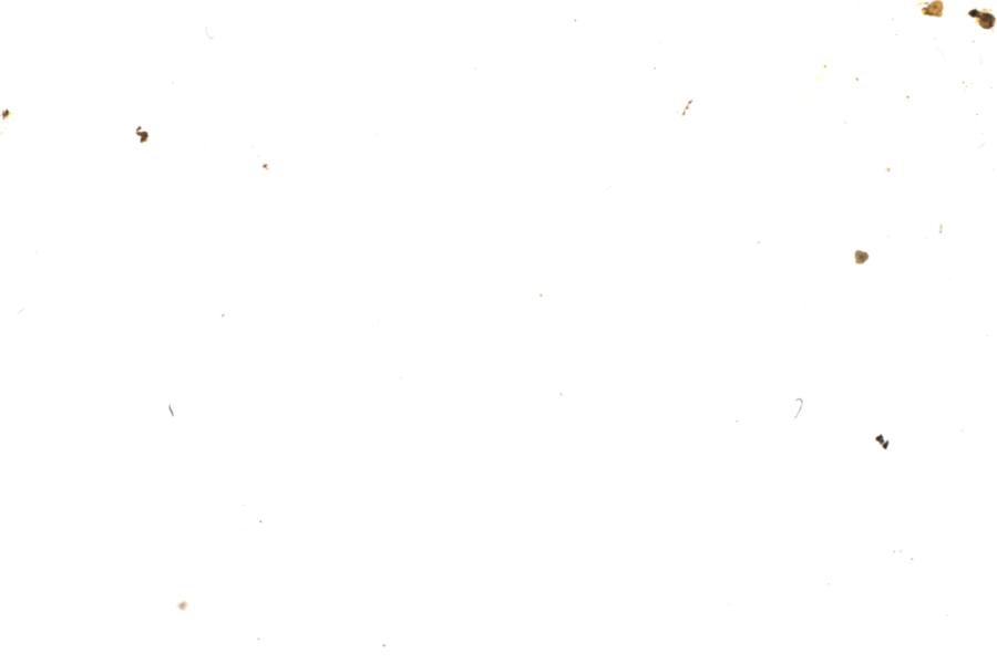 Image 28